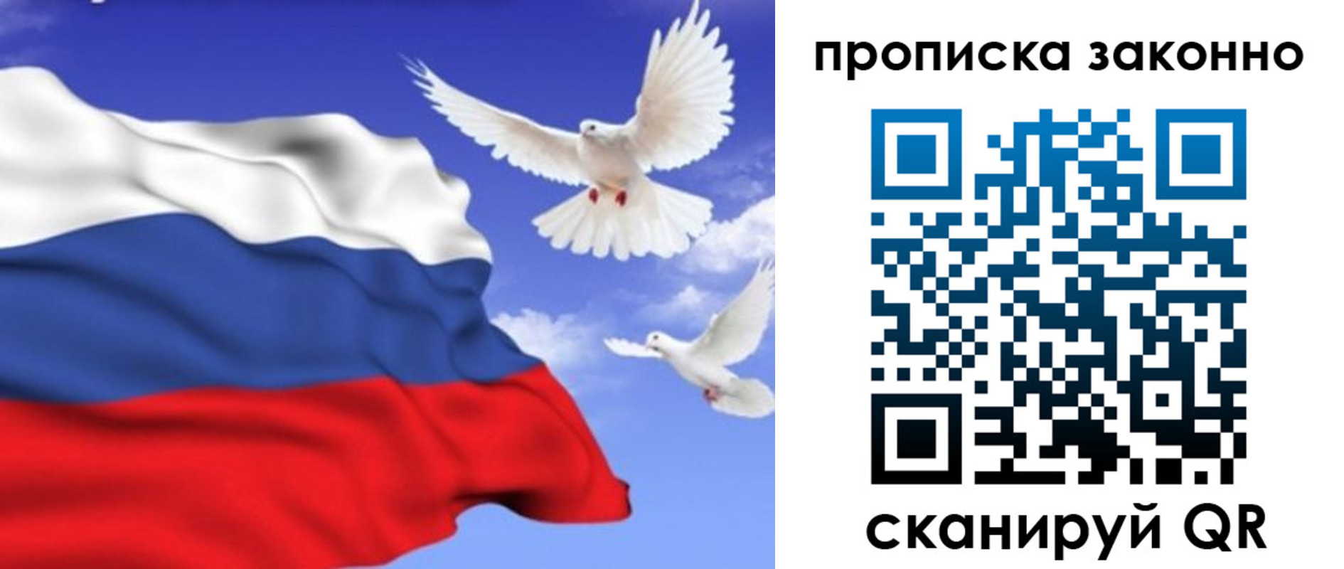 прописка в Щучье